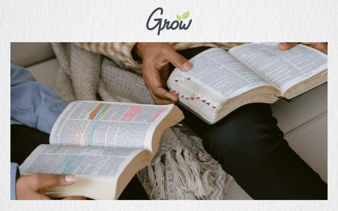 The Best Bibles for Students
